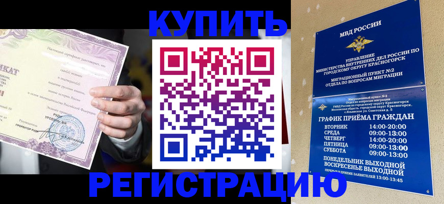 временная регистрация собственник в Ненецком АО